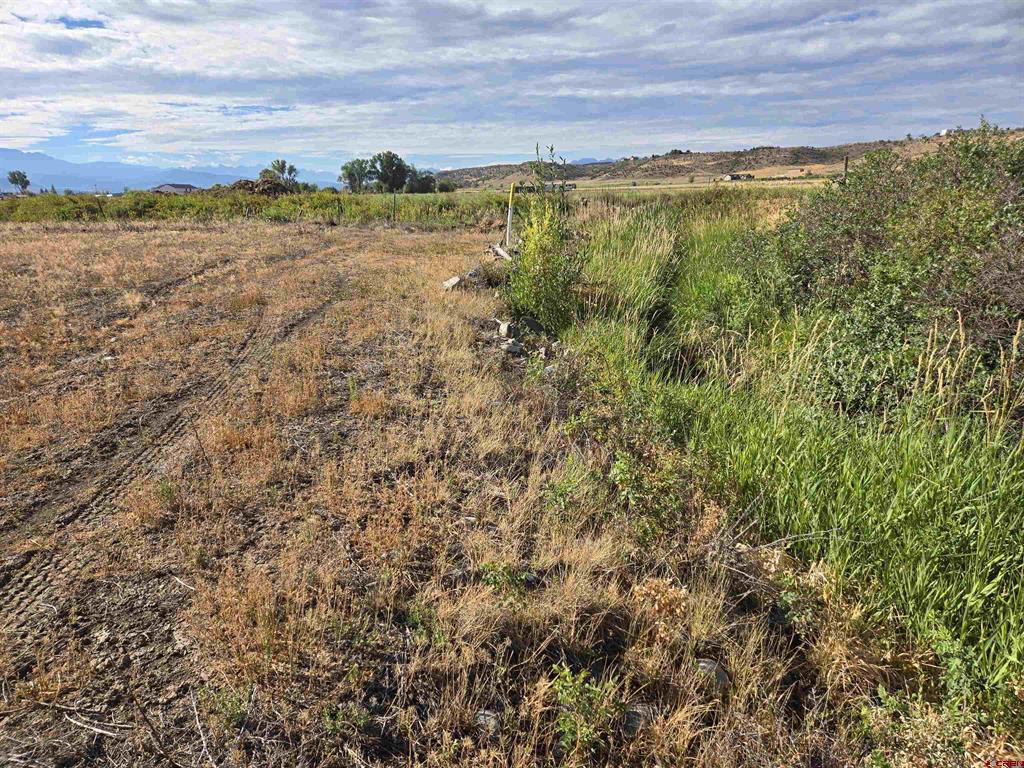 Tbd Rose Road Montrose CO 81403