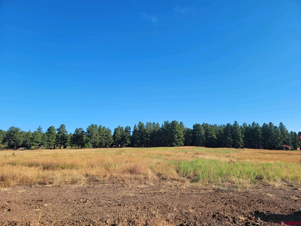 1288 Antelope Avenue Pagosa Springs CO 81147