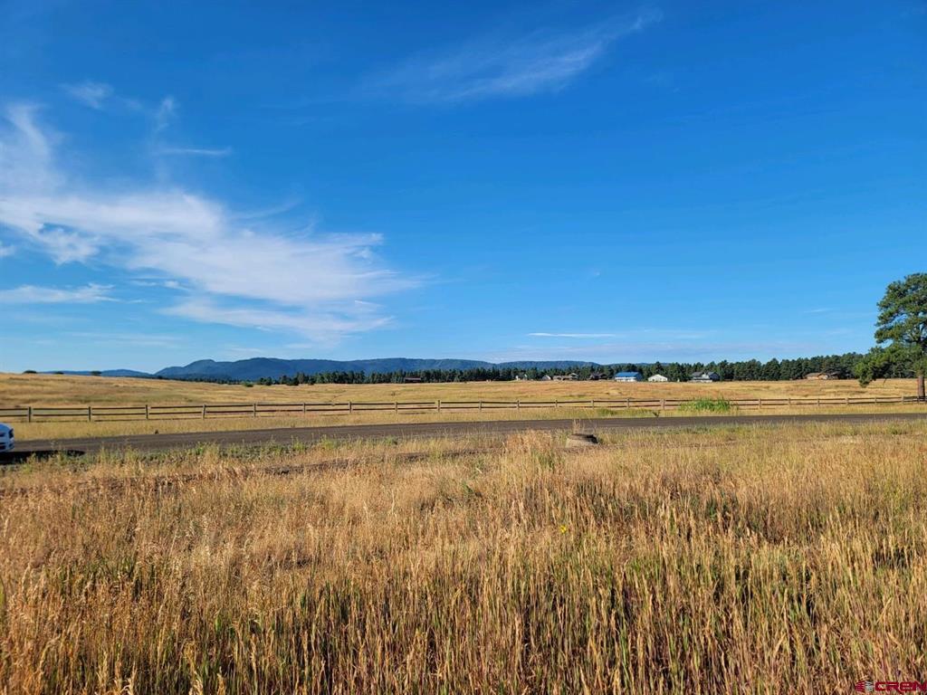 1288 Antelope Avenue Pagosa Springs CO 81147