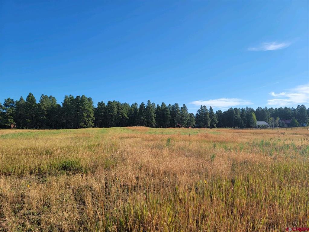 1288 Antelope Avenue Pagosa Springs CO 81147