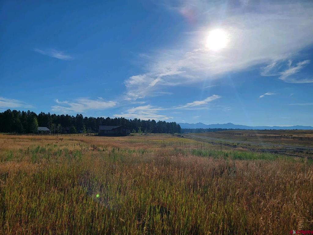 1288 Antelope Avenue Pagosa Springs CO 81147