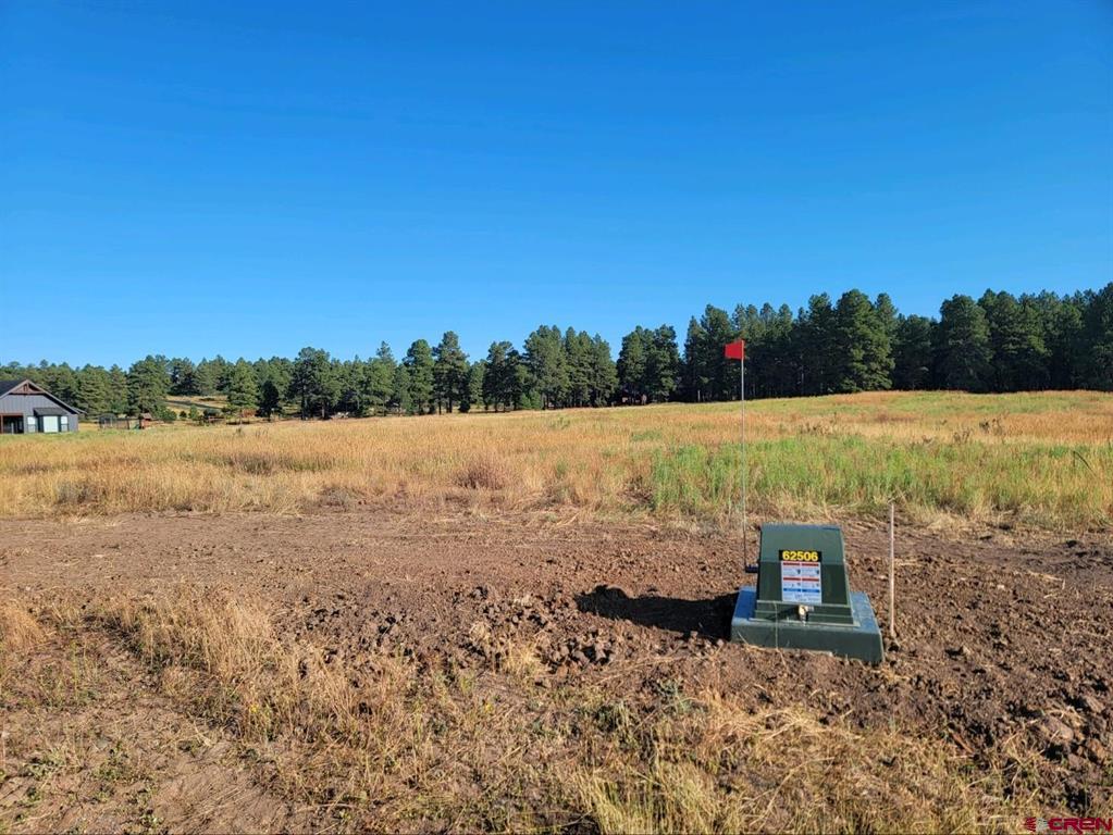 1288 Antelope Avenue Pagosa Springs CO 81147