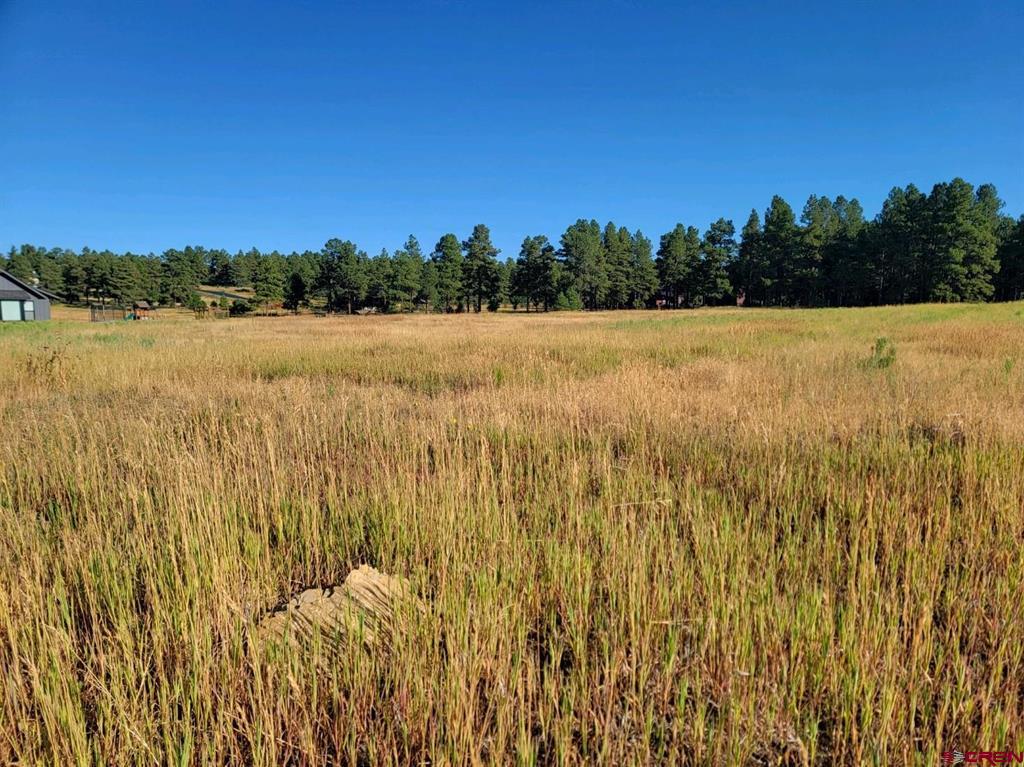 1288 Antelope Avenue Pagosa Springs CO 81147
