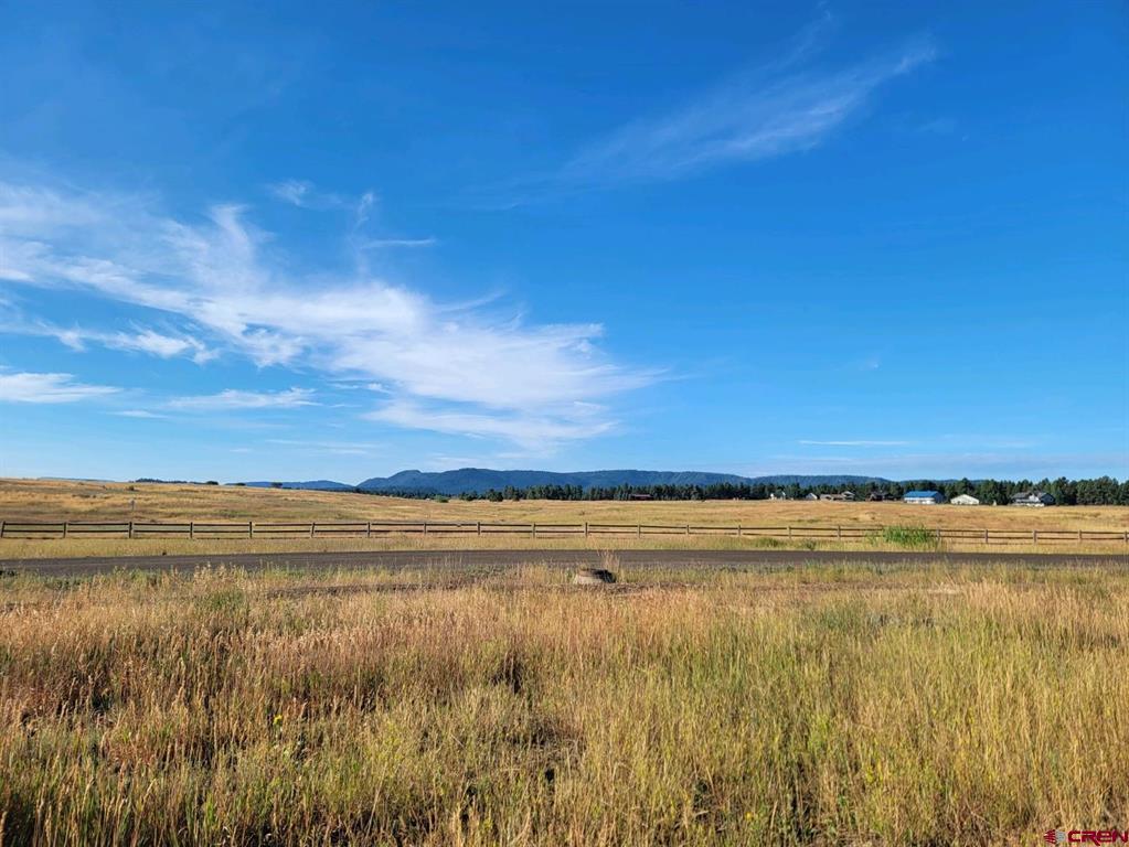 1288 Antelope Avenue Pagosa Springs CO 81147