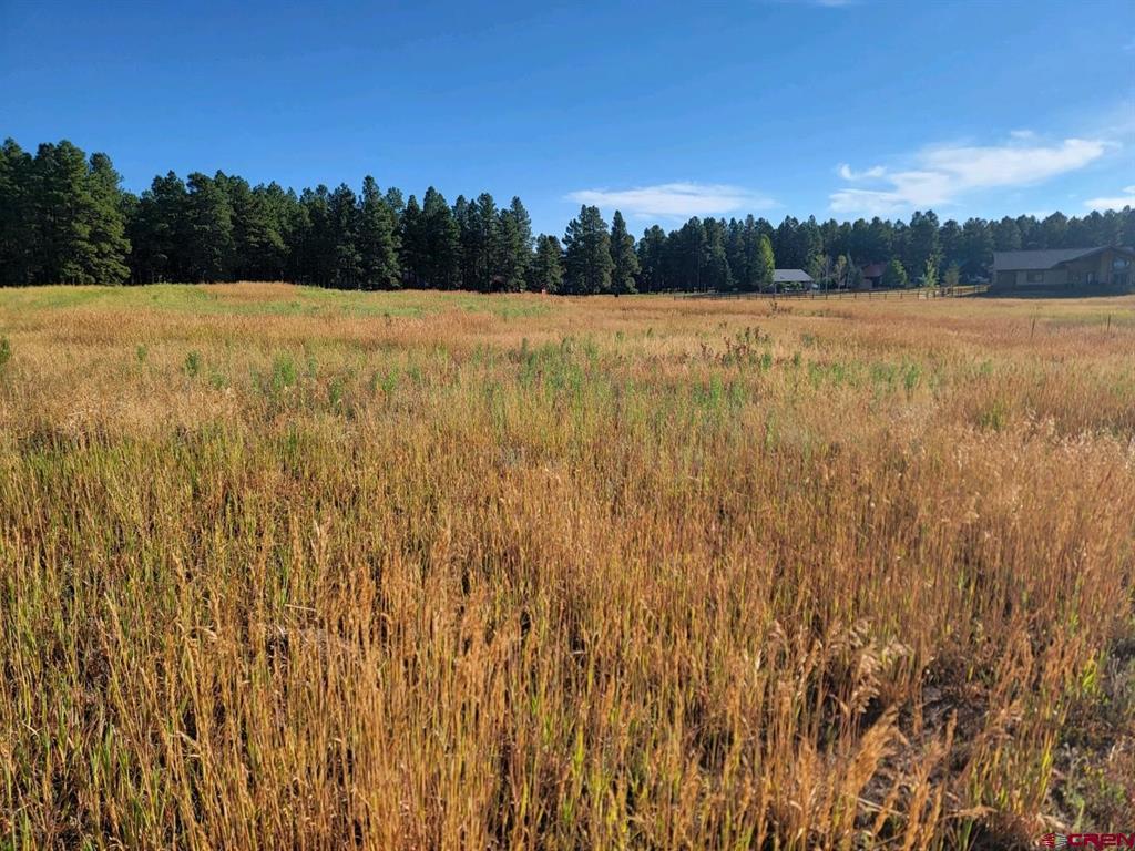 1288 Antelope Avenue Pagosa Springs CO 81147