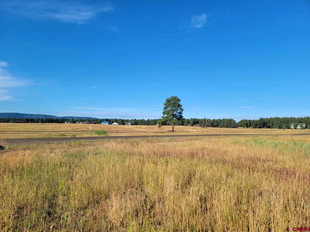 1288 Antelope Avenue Pagosa Springs CO 81147