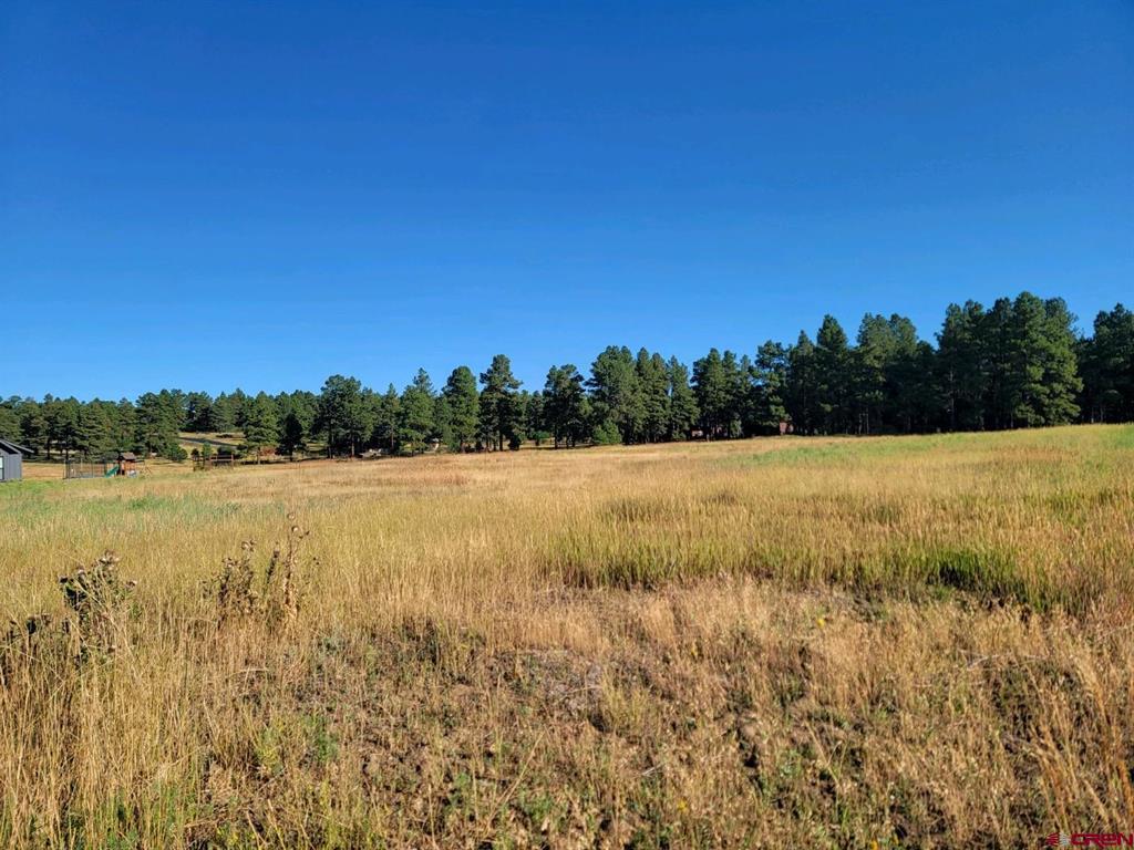 1288 Antelope Avenue Pagosa Springs CO 81147