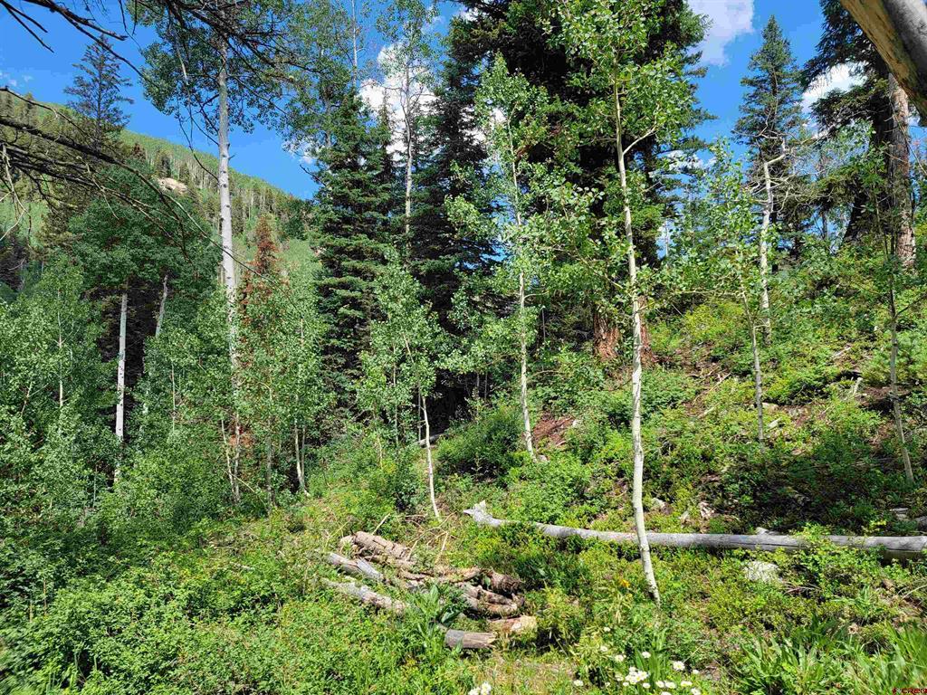59 Engineer (lot 4) Drive Durango CO 81301