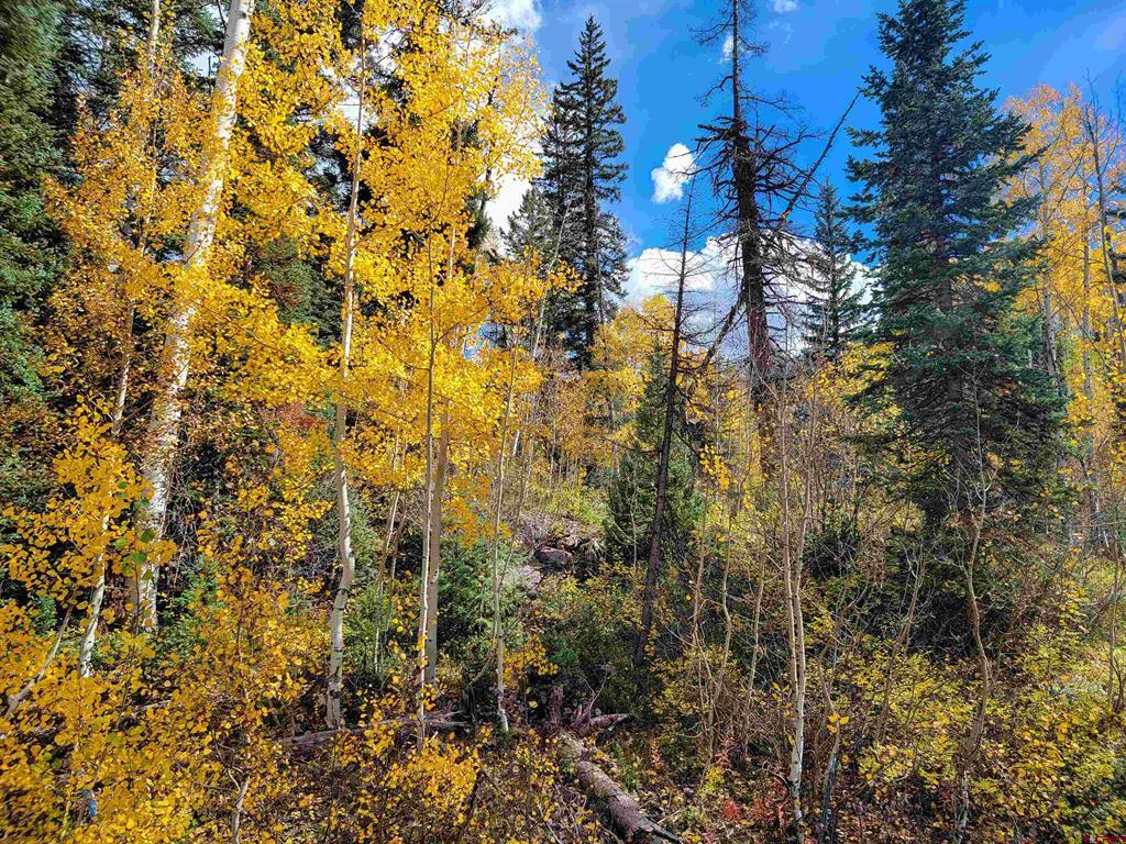 59 Engineer (lot 4) Drive Durango CO 81301