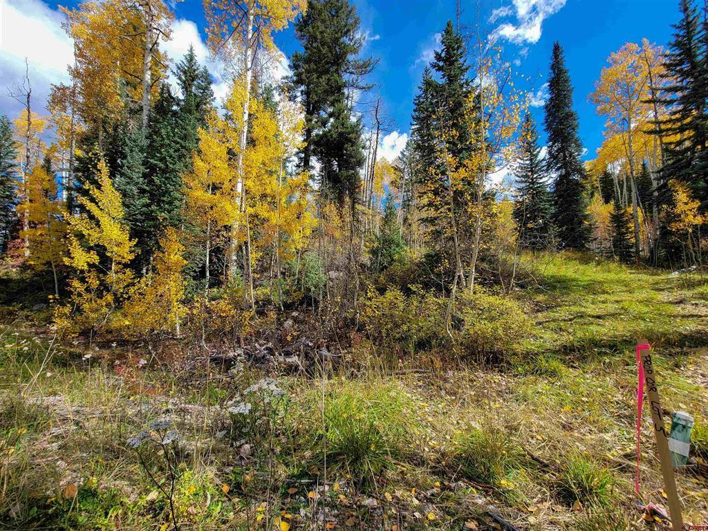 59 Engineer (lot 4) Drive Durango CO 81301