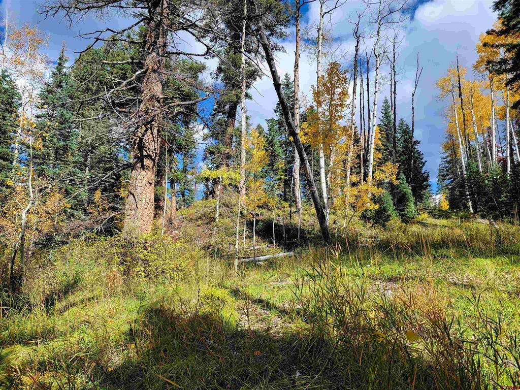 59 Engineer (lot 4) Drive Durango CO 81301