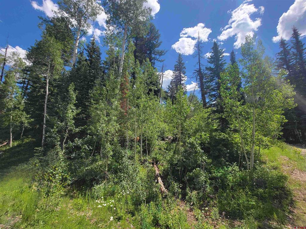 59 Engineer (lot 4) Drive Durango CO 81301