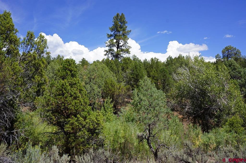 Tbd-lot 3 Highway 184 Mancos CO 81328