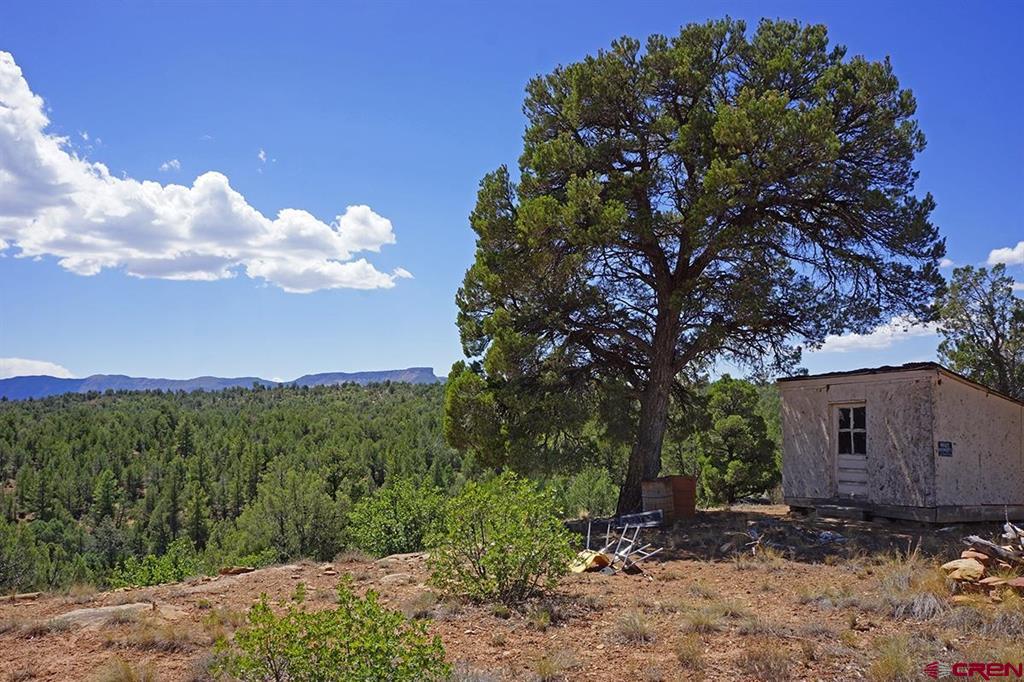 Tbd-lot 3 Highway 184 Mancos CO 81328