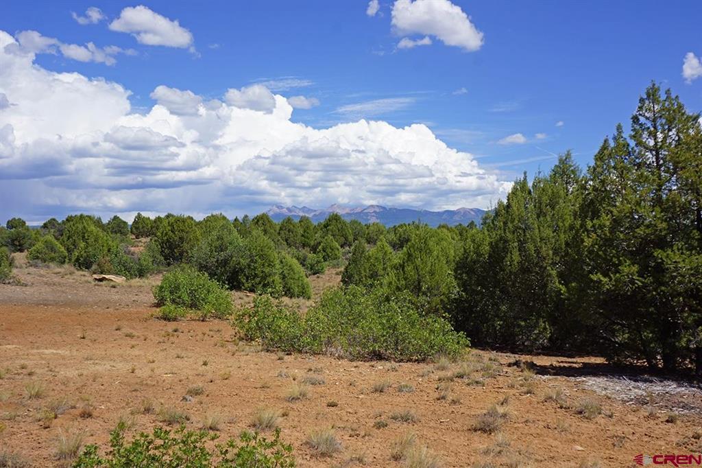 Tbd-lot 3 Highway 184 Mancos CO 81328