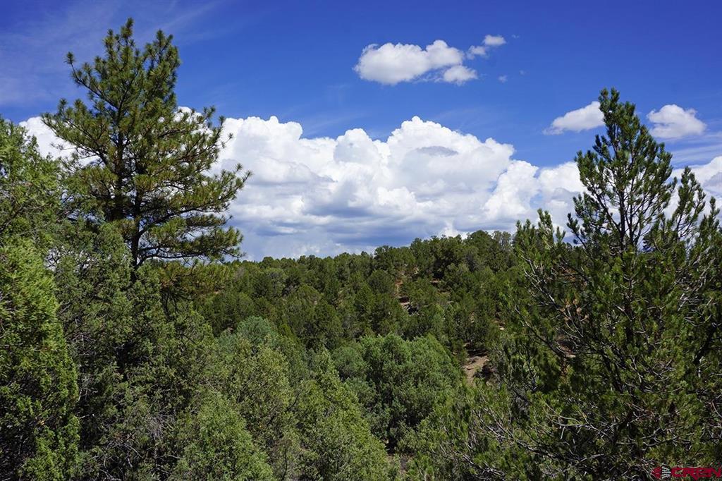 Tbd-lot 3 Highway 184 Mancos CO 81328