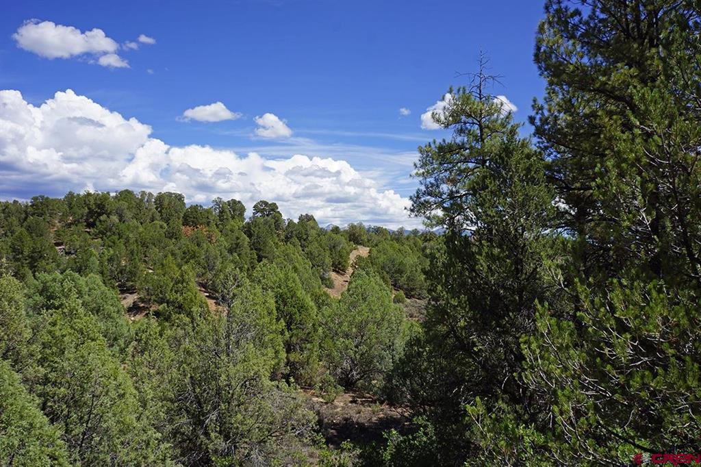 Tbd-lot 3 Highway 184 Mancos CO 81328