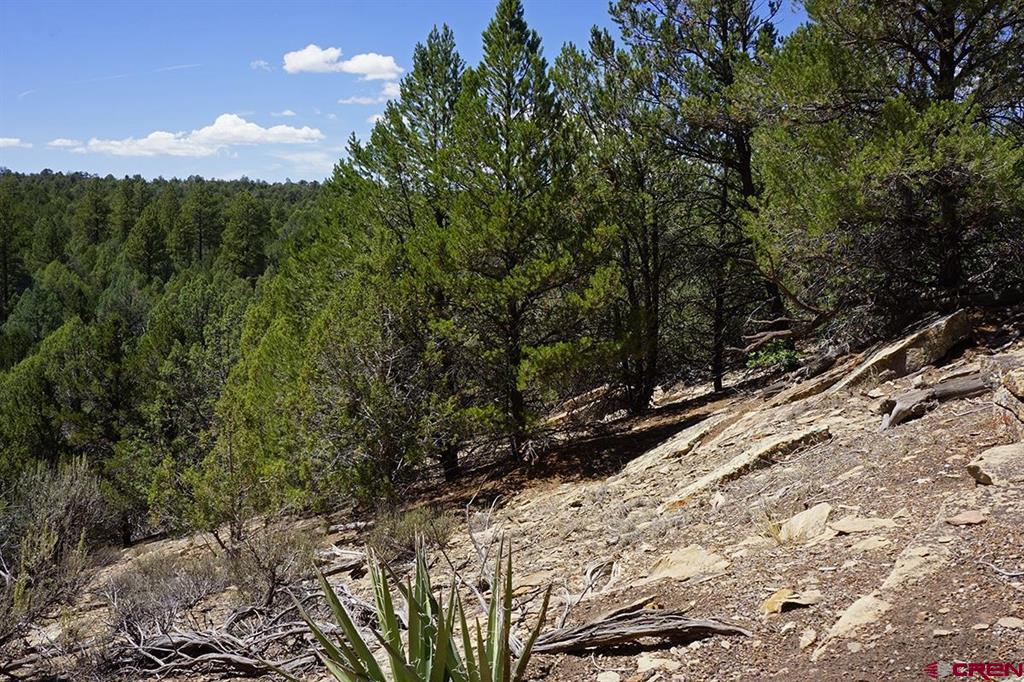 Tbd-lot 3 Highway 184 Mancos CO 81328
