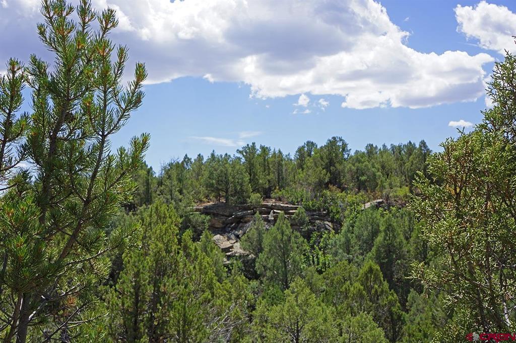 Tbd-lot 3 Highway 184 Mancos CO 81328