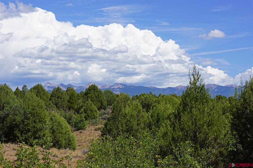 Tbd-lot 3 Highway 184 Mancos CO 81328