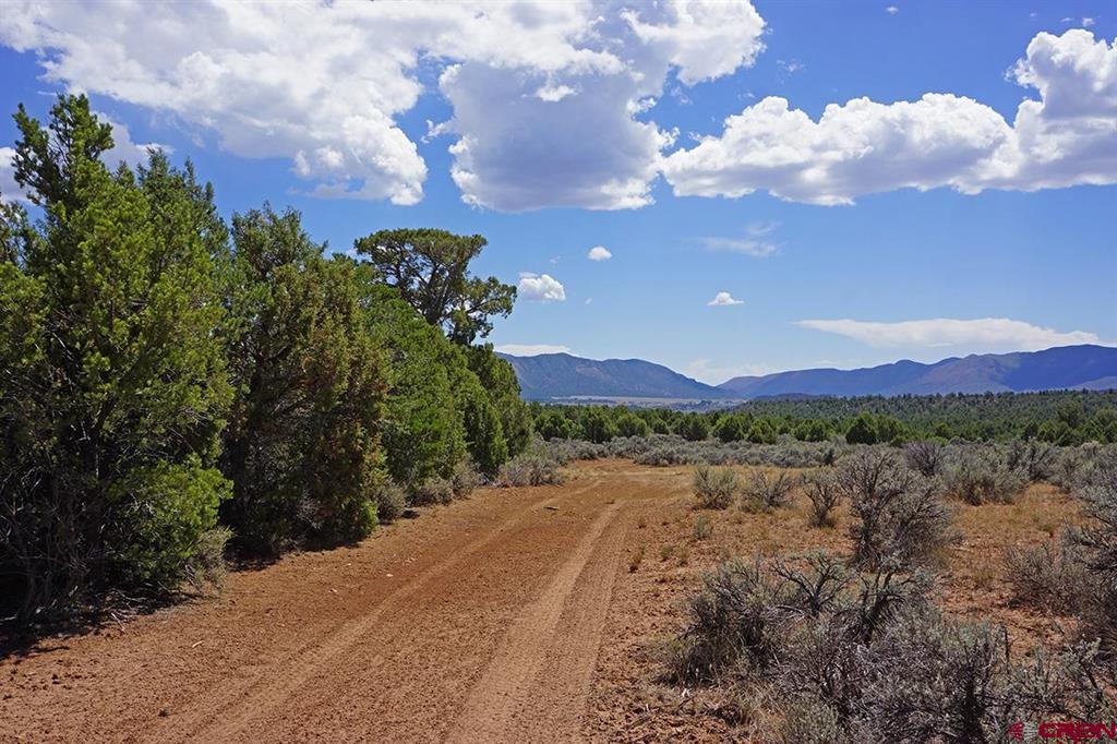 Tbd-lot 3 Highway 184 Mancos CO 81328