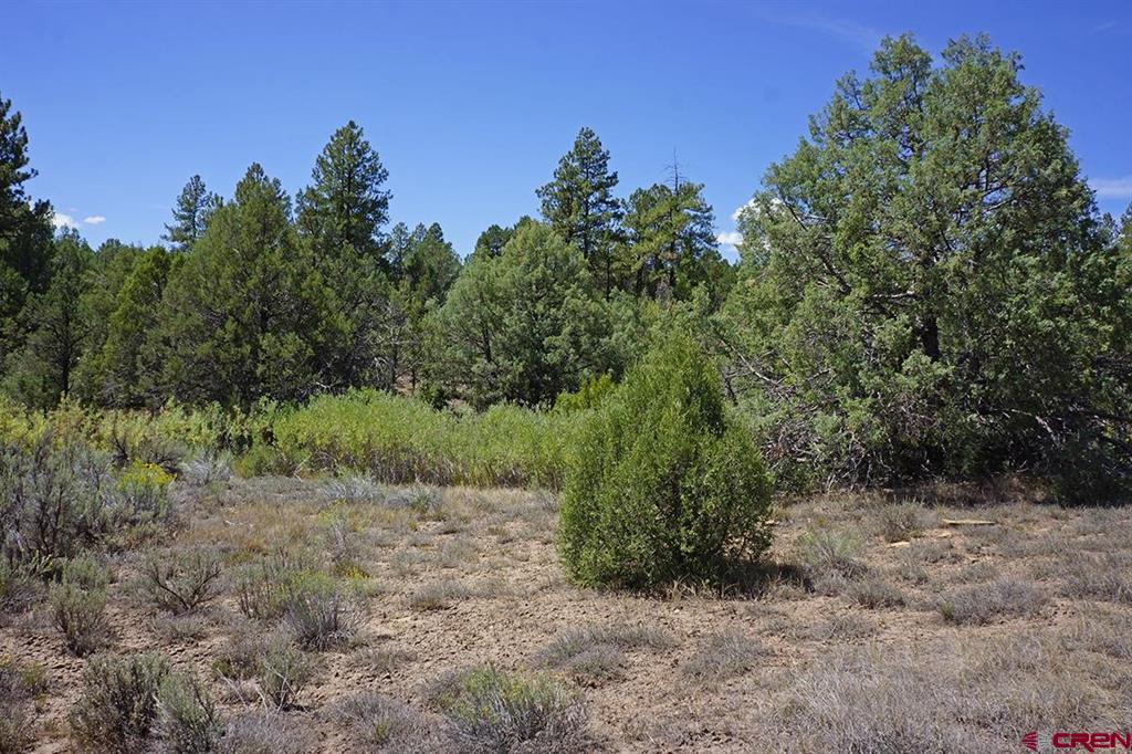 Tbd-lot 3 Highway 184 Mancos CO 81328
