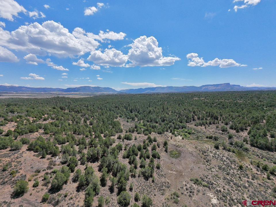 Tbd-lot 3 Highway 184 Mancos CO 81328