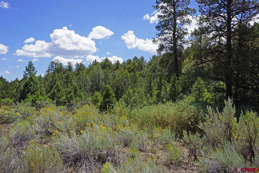 Tbd-lot 3 Highway 184 Mancos CO 81328