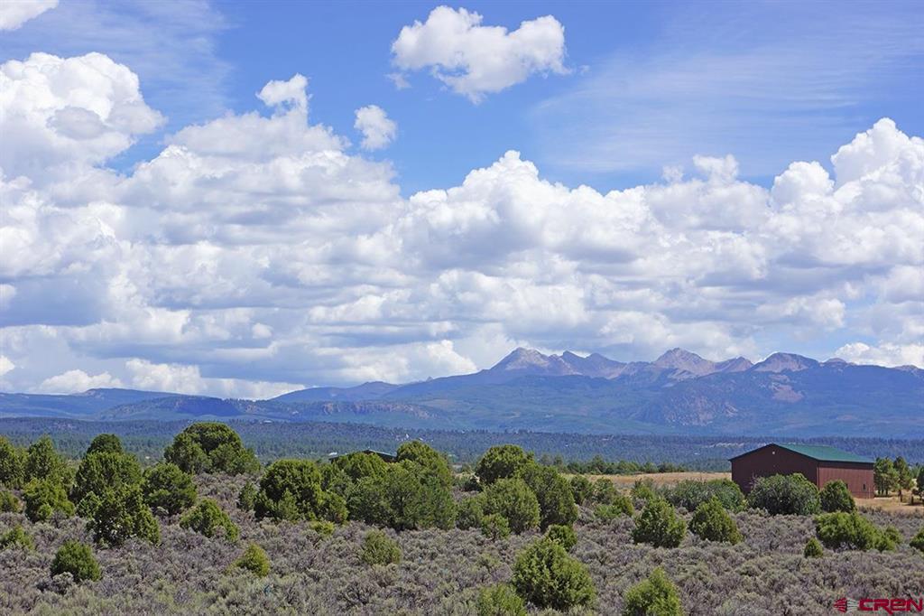 Tbd-lot 3 Highway 184 Mancos CO 81328