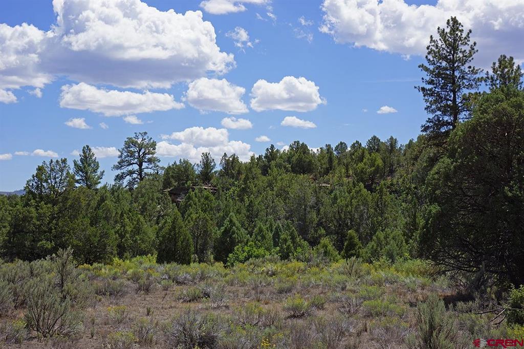 Tbd-lot 3 Highway 184 Mancos CO 81328