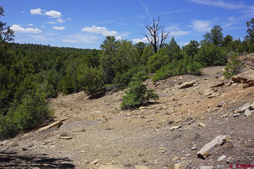 Tbd-lot 3 Highway 184 Mancos CO 81328