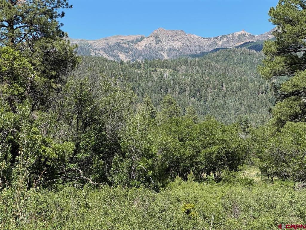 1800 Needles View Place Pagosa Springs CO 81147
