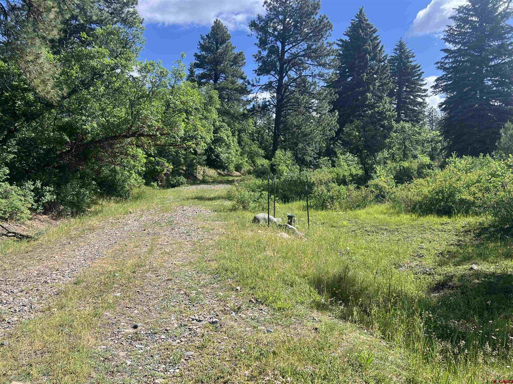 1800 Needles View Place Pagosa Springs CO 81147