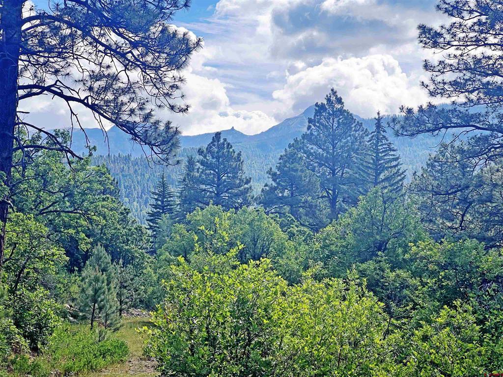1800 Needles View Place Pagosa Springs CO 81147