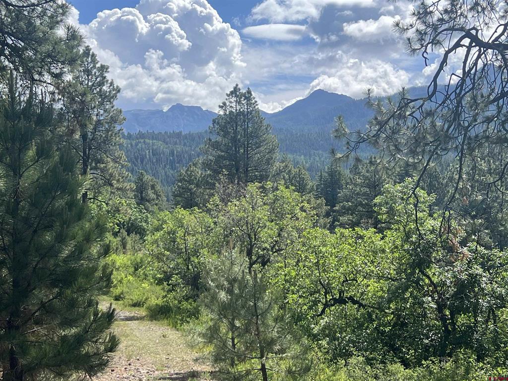 1800 Needles View Place Pagosa Springs CO 81147
