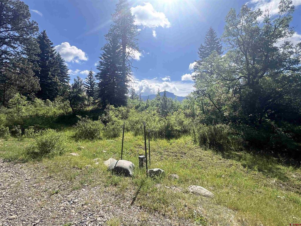 1800 Needles View Place Pagosa Springs CO 81147