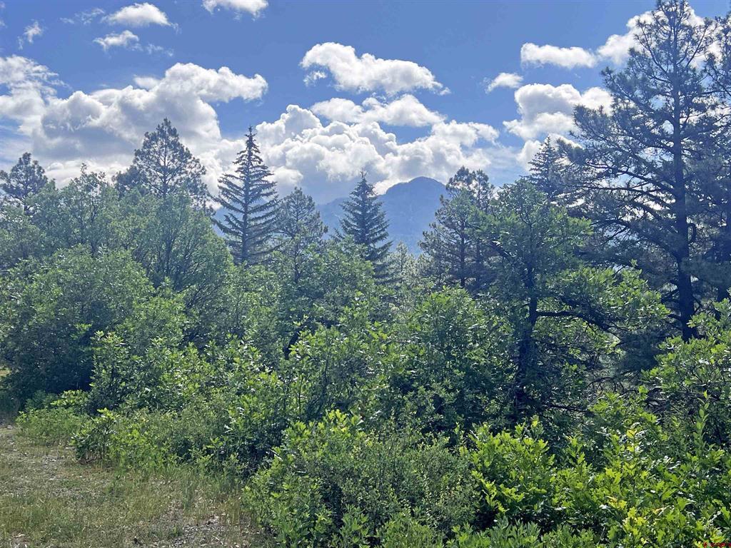 1800 Needles View Place Pagosa Springs CO 81147