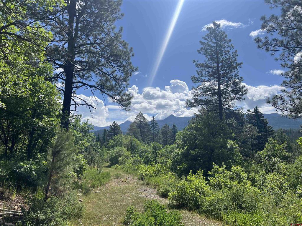 1800 Needles View Place Pagosa Springs CO 81147