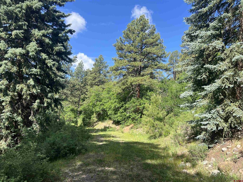 1800 Needles View Place Pagosa Springs CO 81147