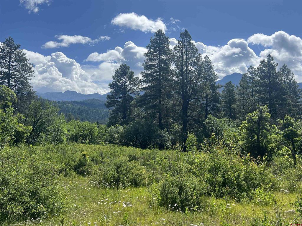 1800 Needles View Place Pagosa Springs CO 81147