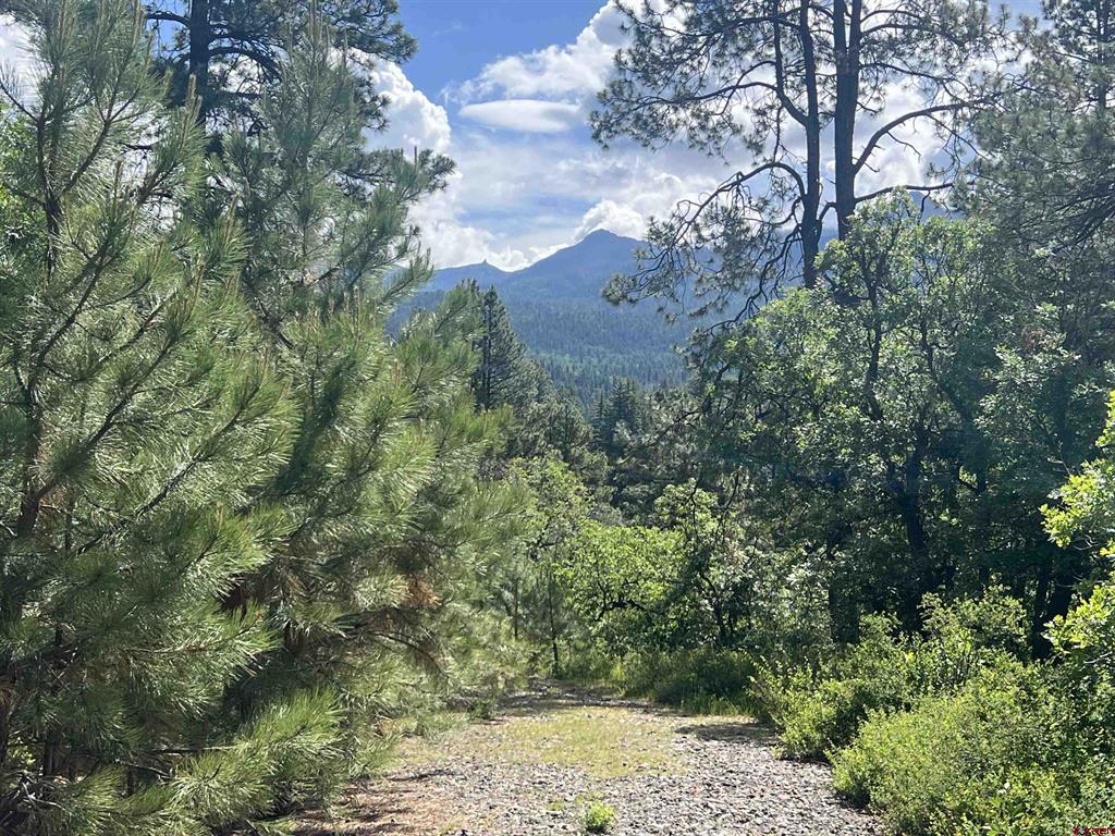 1800 Needles View Place Pagosa Springs CO 81147