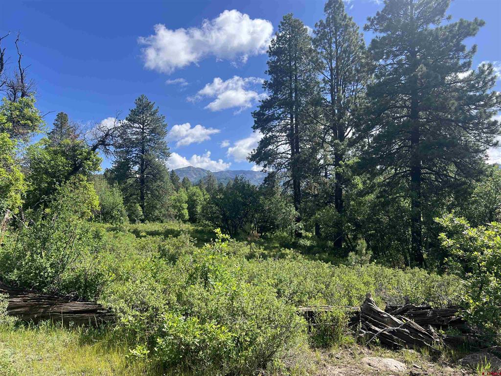 1800 Needles View Place Pagosa Springs CO 81147