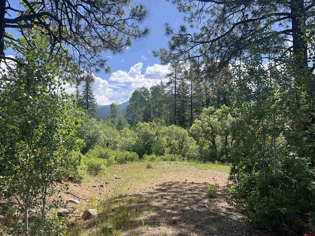 1800 Needles View Place Pagosa Springs CO 81147