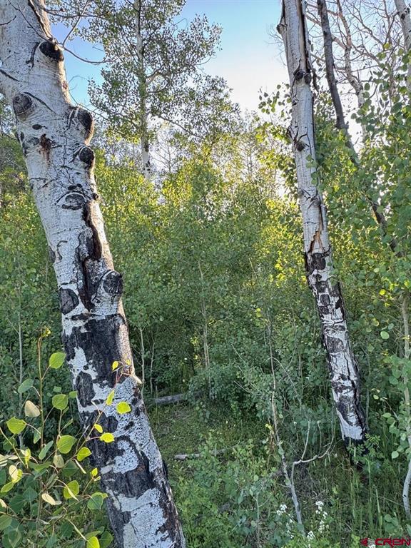 1800 Needles View Place Pagosa Springs CO 81147