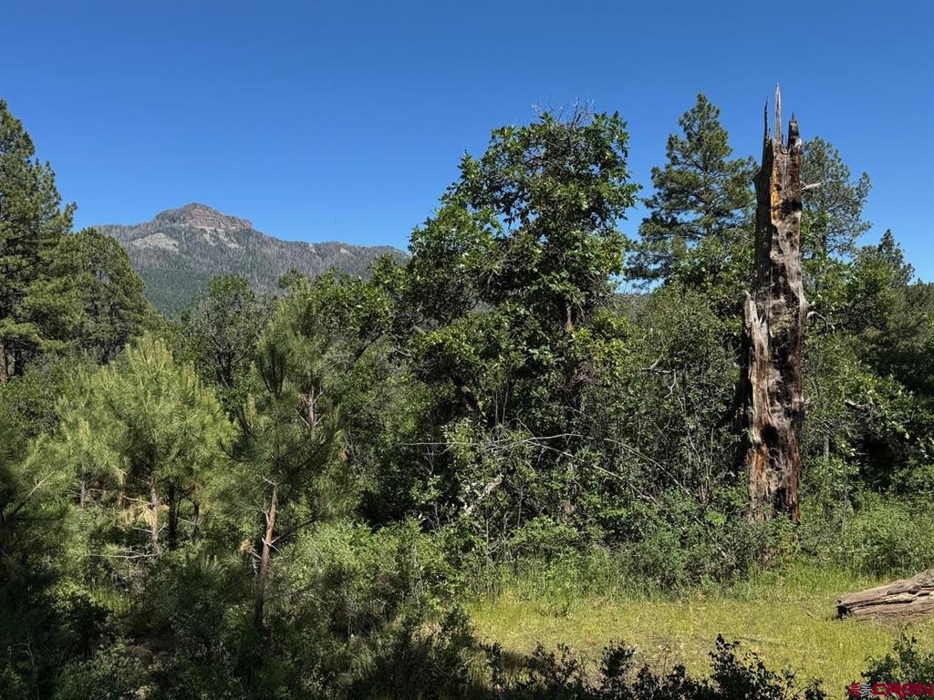 1800 Needles View Place Pagosa Springs CO 81147