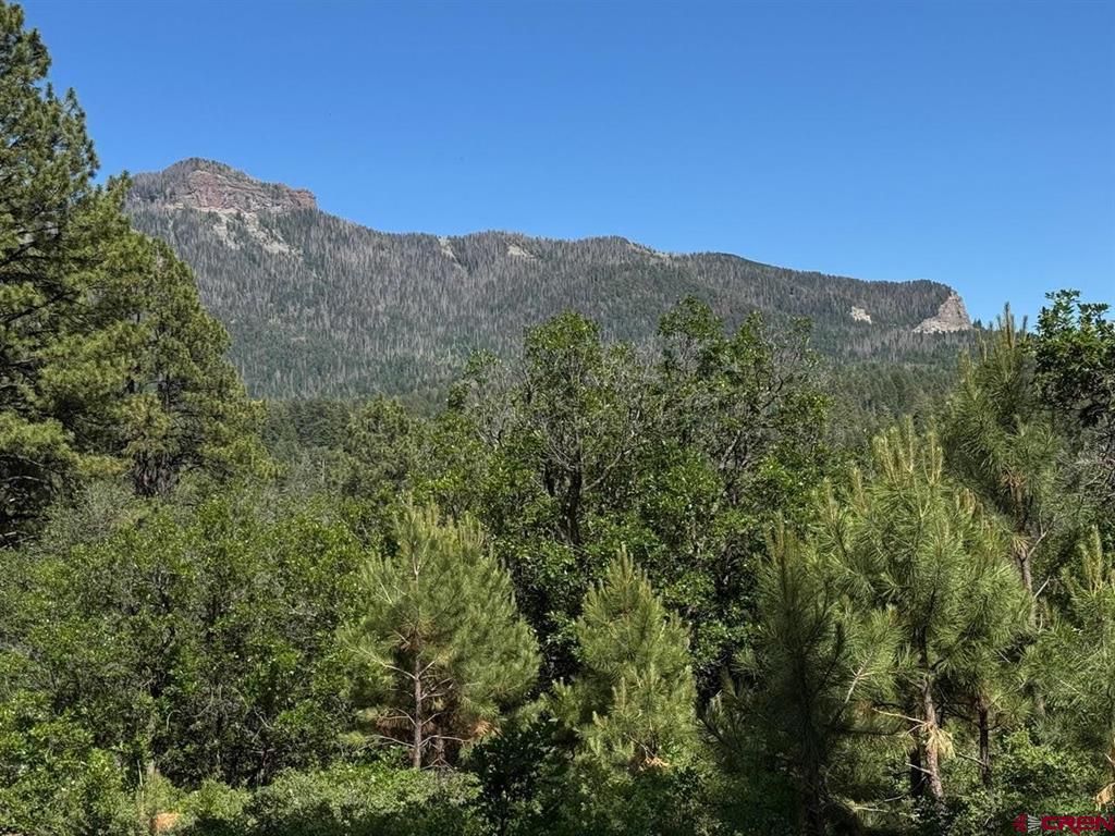 1800 Needles View Place Pagosa Springs CO 81147