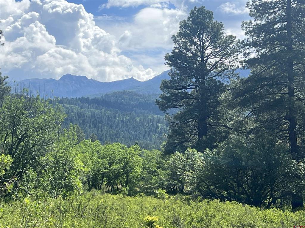 1800 Needles View Place Pagosa Springs CO 81147