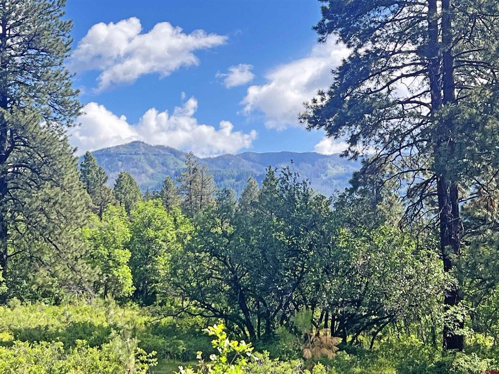 1800 Needles View Place Pagosa Springs CO 81147