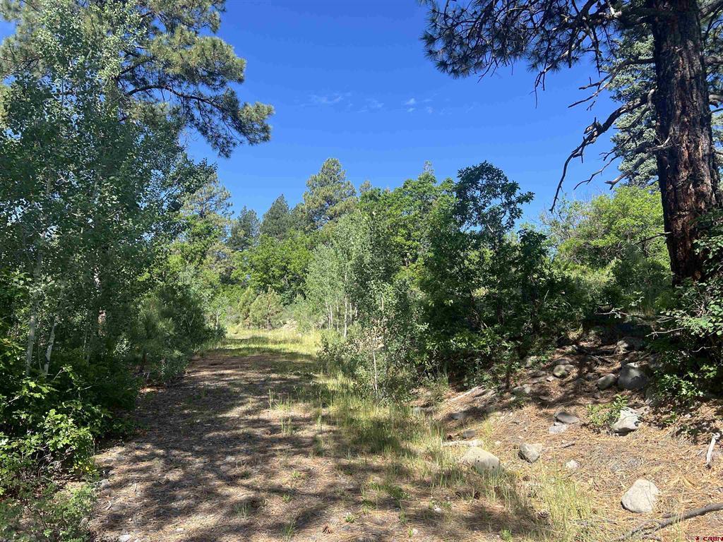 1800 Needles View Place Pagosa Springs CO 81147