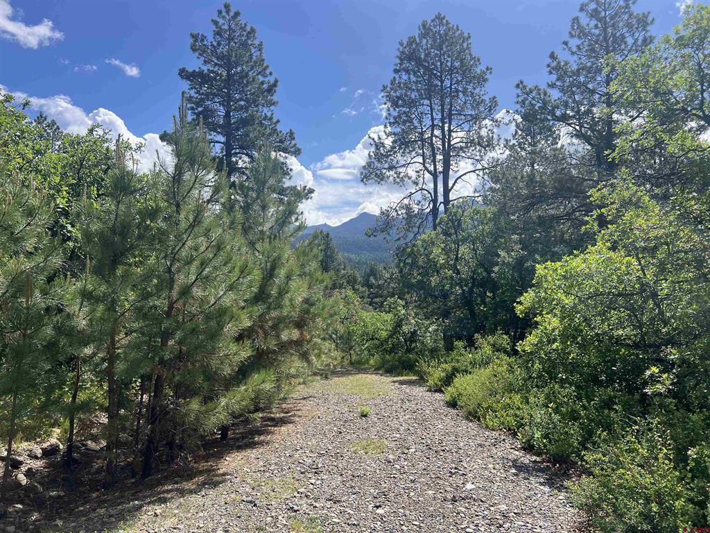 1800 Needles View Place Pagosa Springs CO 81147